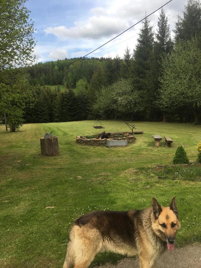 Bieszczadzka Sielanka Villa Wojtkowa Екстериор снимка